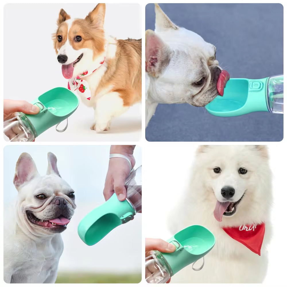 SipPup™️ - Hydrate your dog anytime, anywhere.